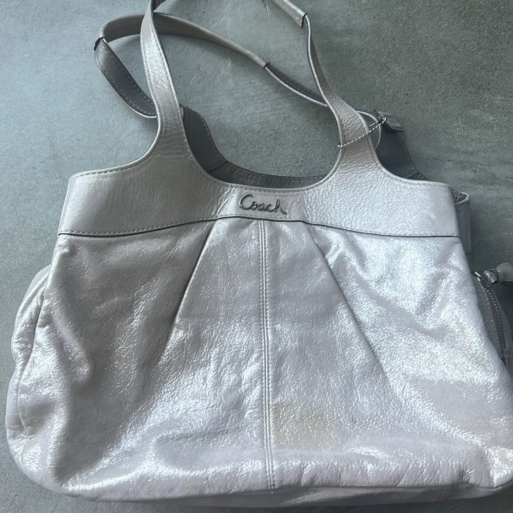 Shimmering coach bag